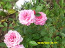 SAM_0160