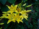 IMG_20150607_205223