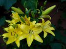 IMG_20150607_205214