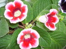 PICT0572