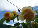 DSC08740