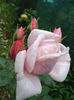 DSC08745