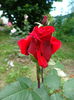 DSC08756