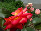 DSC08765