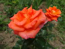 DSC08770