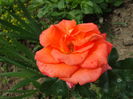 DSC08771