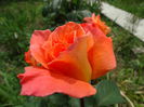 DSC08775