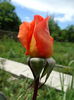 DSC08776