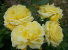 DSCN5377