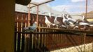 WP_20150610_17_38_20_Pro