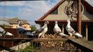 WP_20150610_17_39_53_Pro