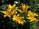 DSC01480