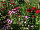 DSC01419
