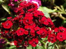 DSC01470