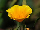 DSC01454