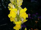 20150607_202215