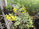 DSCN5861