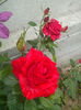 IMG_20150531_175228