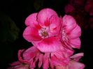 20150607_203202