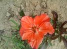 20150610_162842