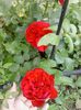 20150610_163341
