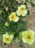 20150610_163522