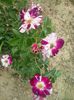 20150610_165038