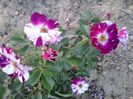 20150610_205529