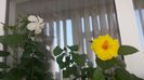 20150611_110120