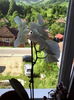 IMG_20150611_085823