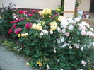 DSCF2903