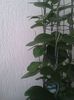 20150609_143838