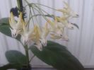 20150611_154225