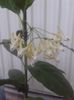 20150611_154236