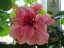 DSC01704