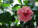DSC01712