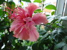 DSC01715