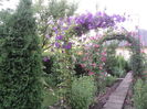 DSC02739