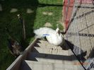 DSC00656