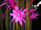 20150607_203024