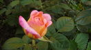 065