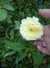DSC04133