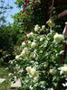 DSC08820