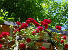 DSC08826