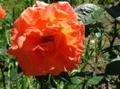 DSC08859