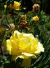 DSC08860