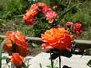 DSC08861
