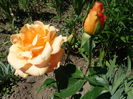 DSC08866