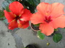 SAM_5914