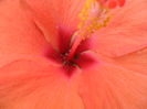 SAM_5919